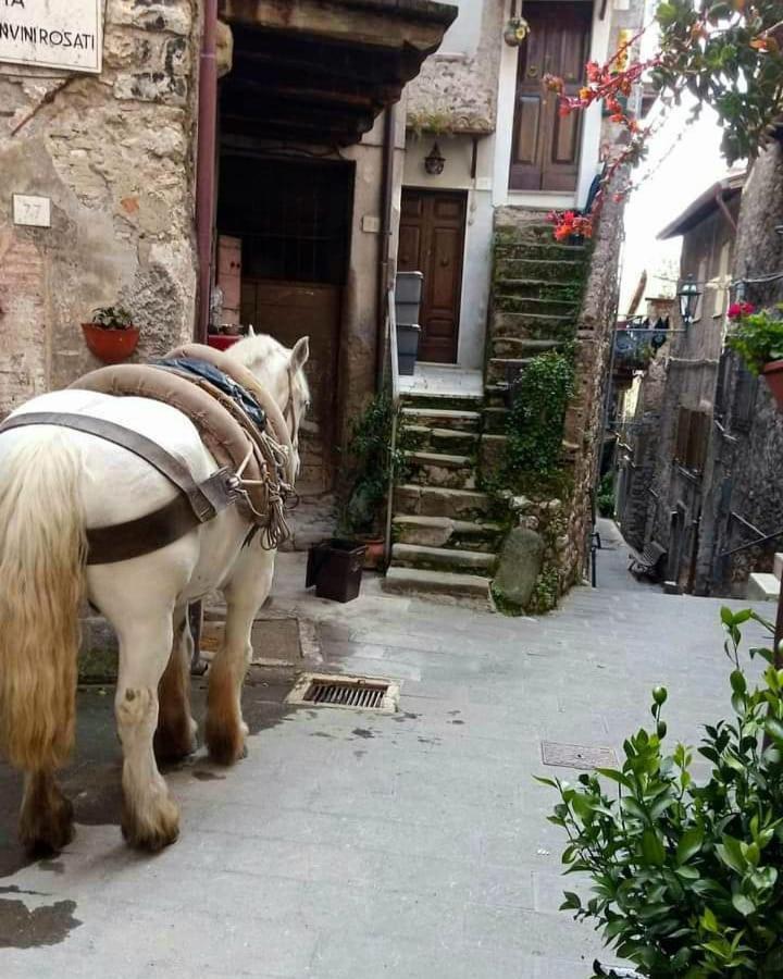 Casetta Nel Borgo Olevano Romano Εξωτερικό φωτογραφία