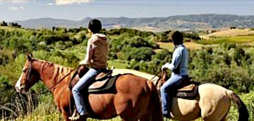 Casetta Nel Borgo Olevano Romano Εξωτερικό φωτογραφία